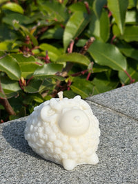 Woolly Sheep