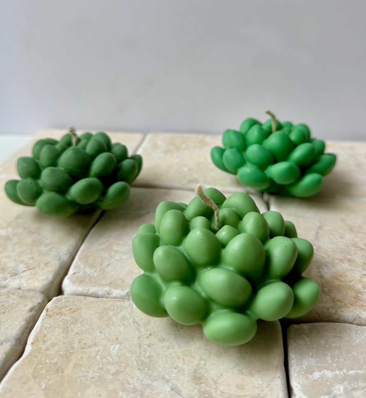 Bead succulent