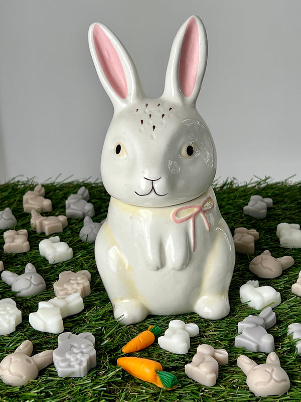 Easter Bunny - fondants parfumés