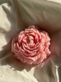 Peony petals