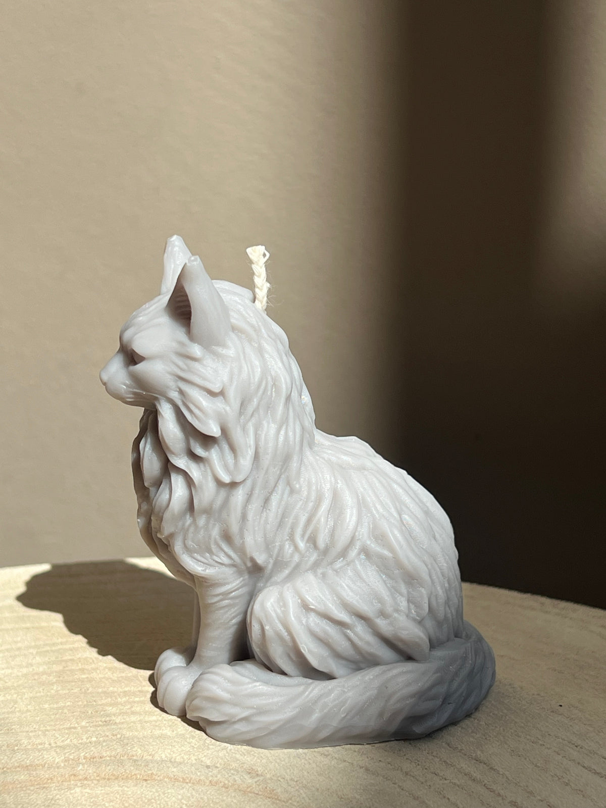 Bougie Maine Coon