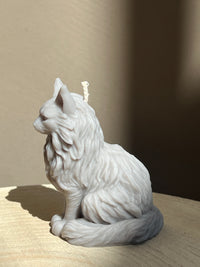 Bougie Maine Coon