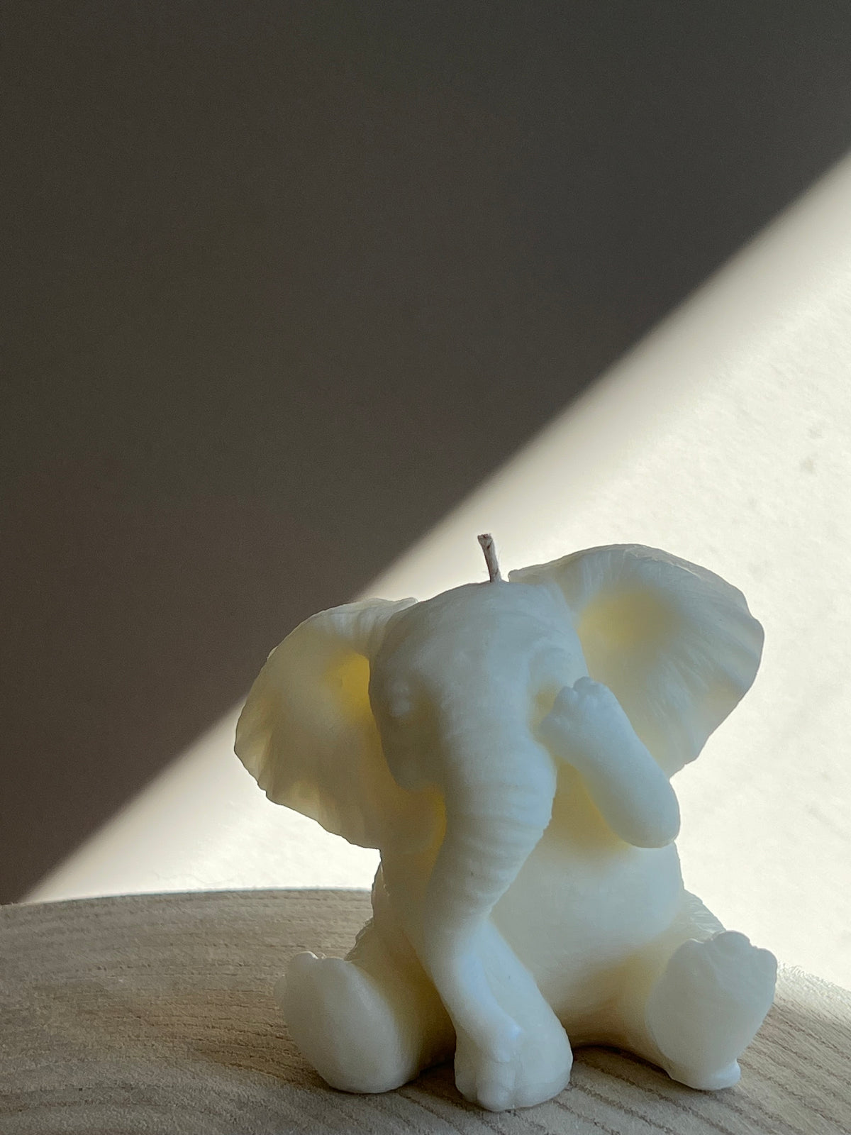 Lucky Elephant