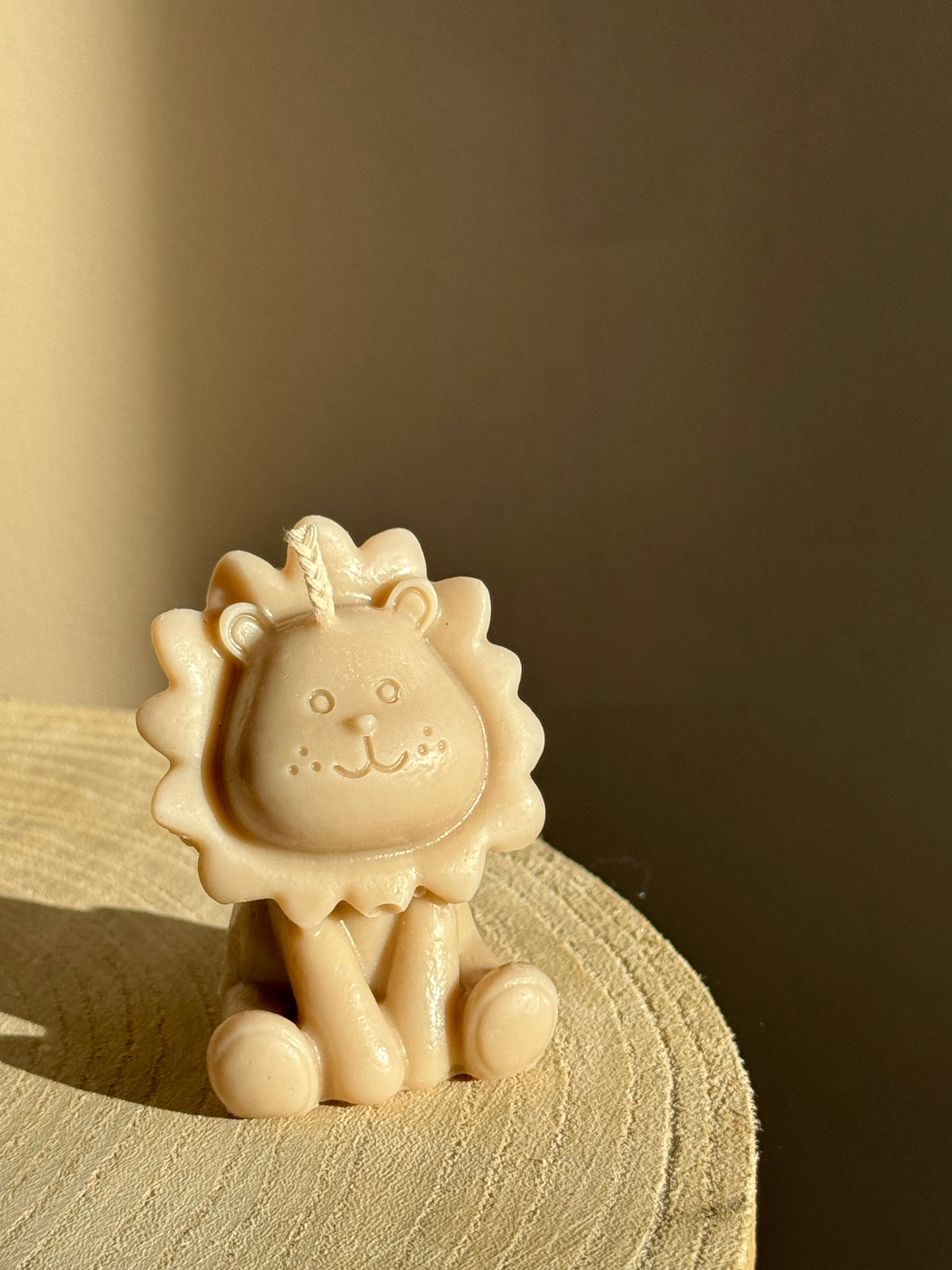 Leeuwtje 🦁