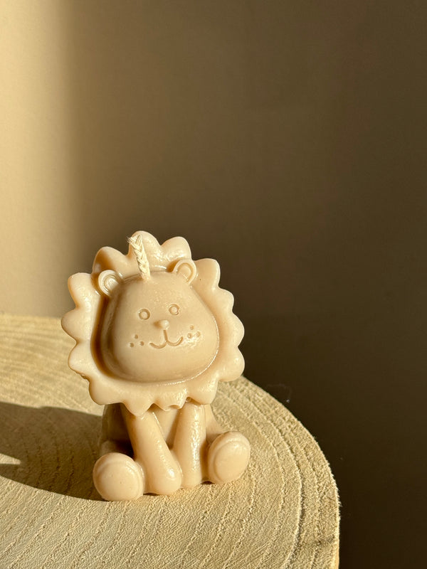 Leeuwtje 🦁