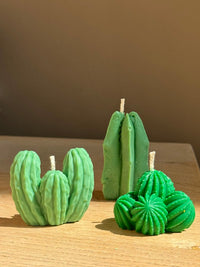 Clustercactus