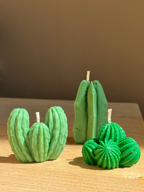 Saguarocactus