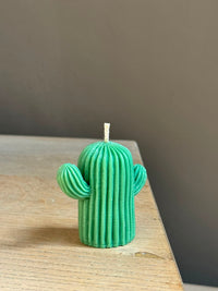 Woestijncactus klein
