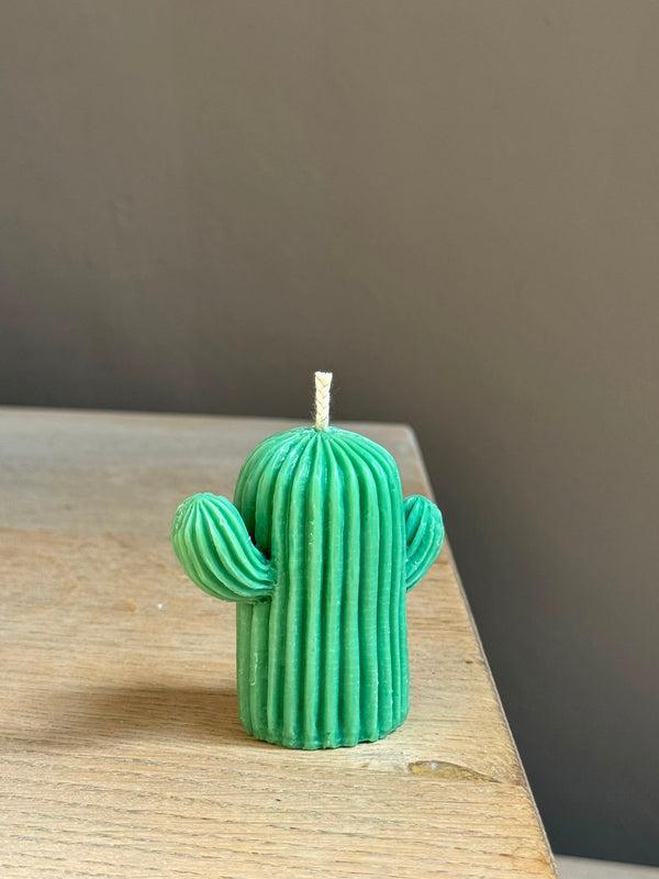 Woestijncactus klein