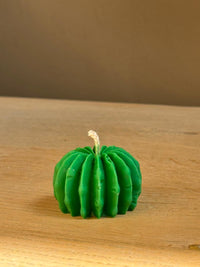 Bolcactus