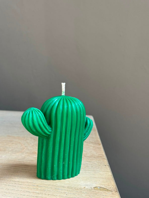 Woestijncactus Groot