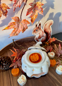 Pompoen waxbrander (wit/oranje)