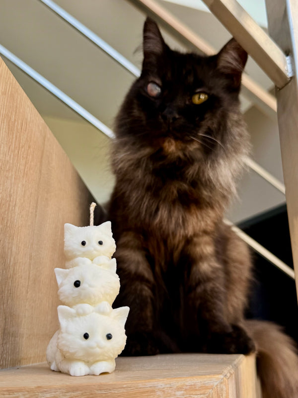 Drie katjes op elkaar - kaars