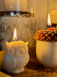 Grote uil kaars