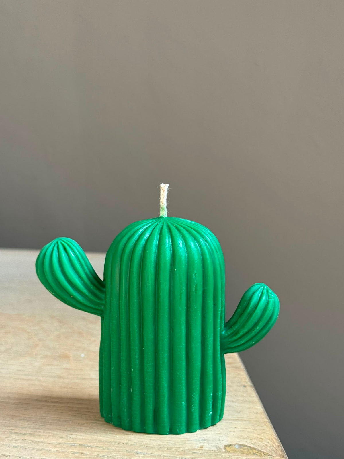 Woestijncactus Groot