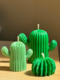 Woestijncactus klein