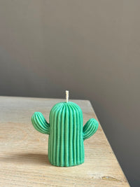 Woestijncactus klein