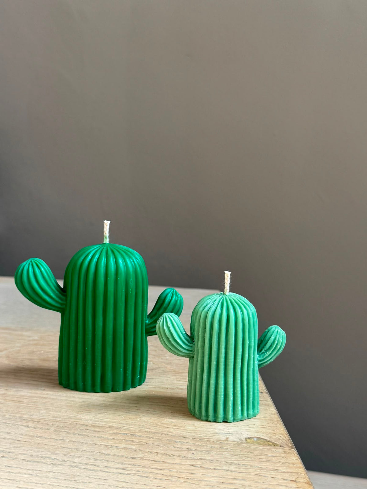 Woestijncactus klein