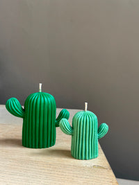 Woestijncactus klein