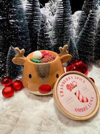 Cranberry Spice - kerst waxmelts