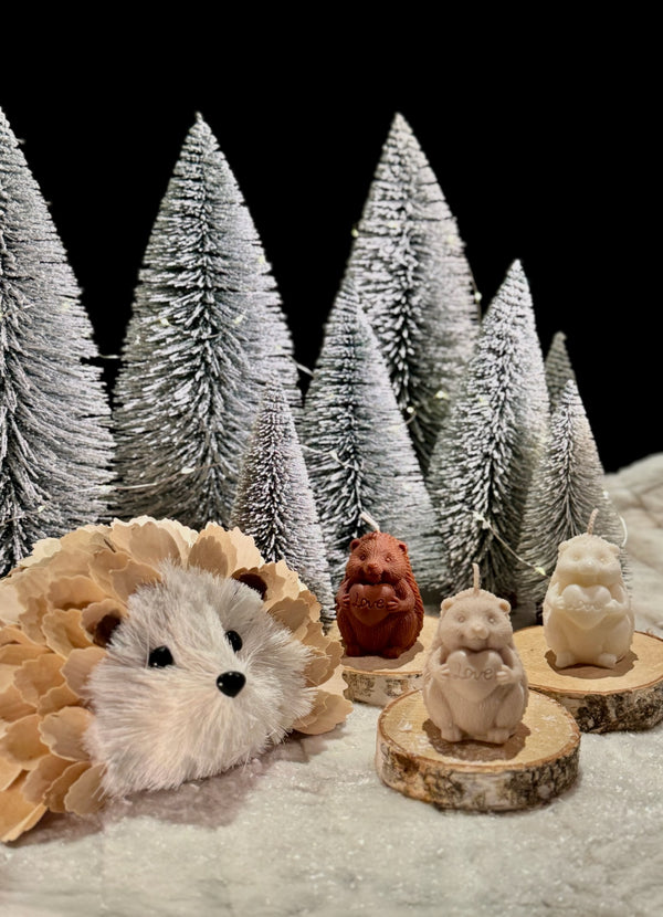 Hedgehog Love – Egel kaars met hartje
