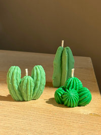 Saguarocactus
