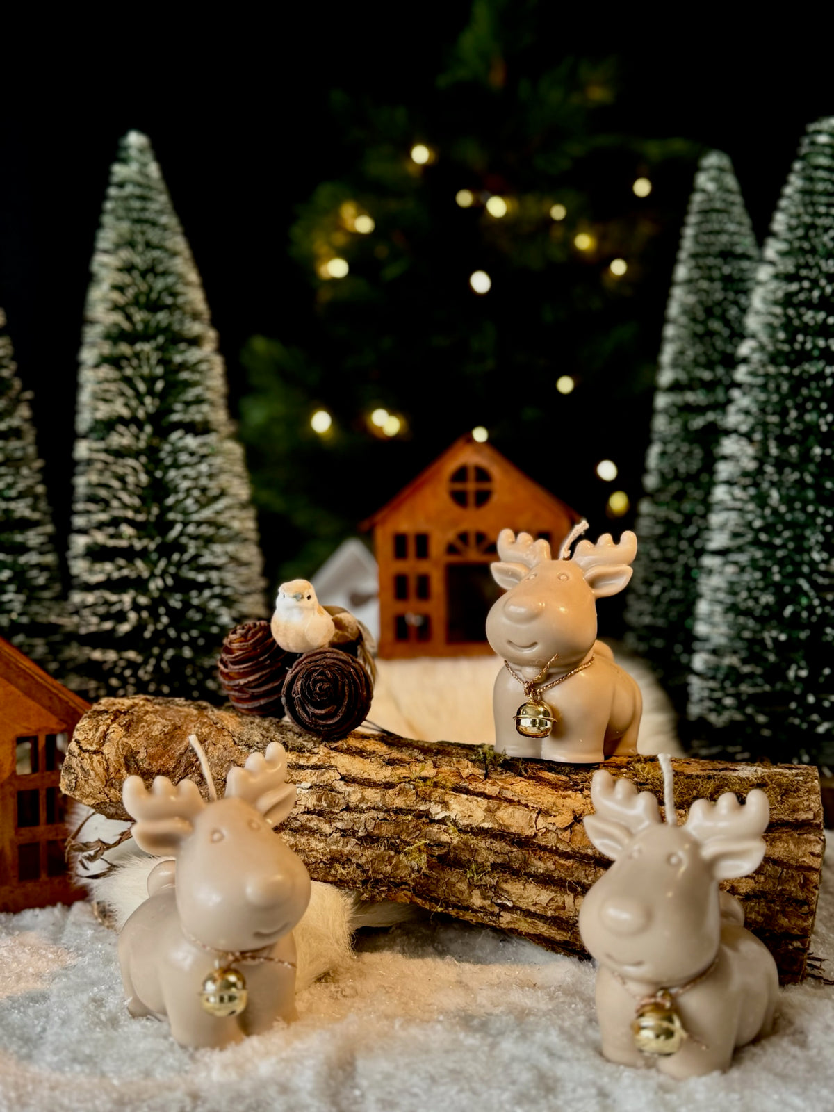 Rudolf – Rendier kaars