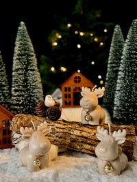 Rudolf – Rendier kaars