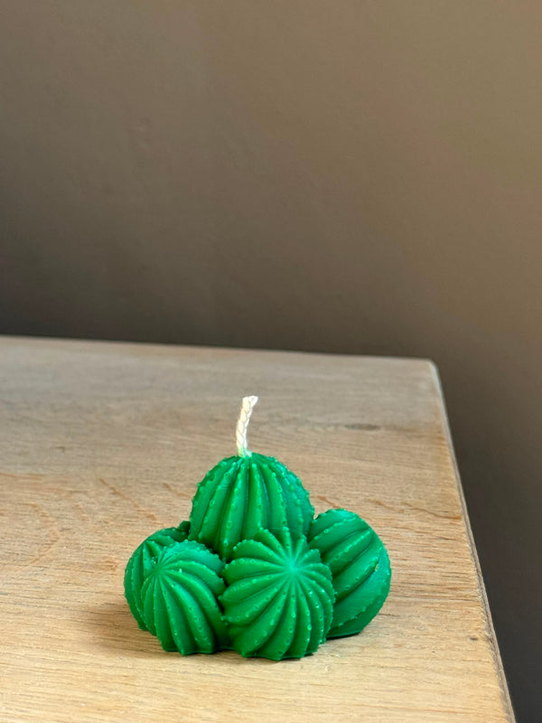 Clustercactus