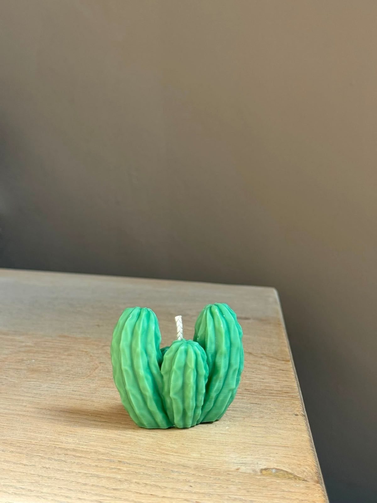 Saguarocactus